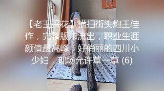 【老王探花】横扫街头炮王佳作，完整版未流出，职业生涯颜值最高峰，好俏丽的四川小少妇，现场允许草一草 (6)