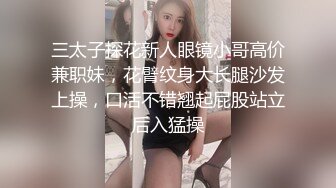 三太子探花新人眼镜小哥高价兼职妹，花臂纹身大长腿沙发上操，口活不错翘起屁股站立后入猛操