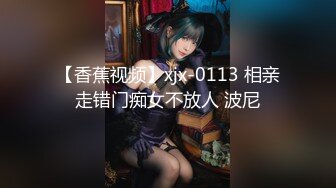 【香蕉视频】xjx-0113 相亲走错门痴女不放人 波尼