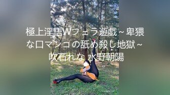 極上淫語Wフェラ遊戯～卑猥な口マンコの舐め殺し地獄～ 吹石れな 水野朝陽