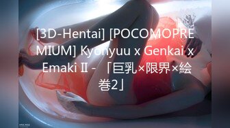 [3D-Hentai] [POCOMOPREMIUM] Kyonyuu x Genkai x Emaki II - 「巨乳×限界×絵巻2」