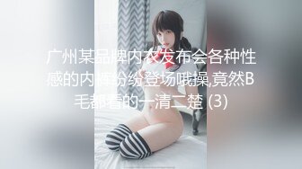 广州某品牌内衣发布会各种性感的内裤纷纷登场哦操,竟然B毛都看的一清二楚 (3)