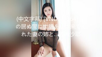 (中文字幕) [VNDS-3364] 嫁の居ぬ間に世話をしに来てくれた妻の姉と…吉瀬沙耶