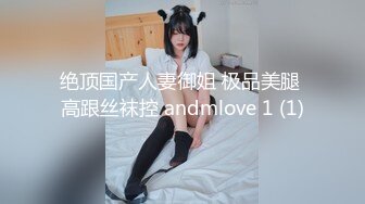 绝顶国产人妻御姐 极品美腿 高跟丝袜控 andmlove 1 (1)