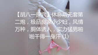 【胡八一探穴】休息后无套第二炮，极品良家小少妇，风情万种，胴体诱人，实力猛男啪啪干得一身汗 (1)