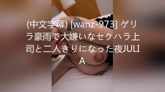 (中文字幕) [wanz-973] ゲリラ豪雨で大嫌いなセクハラ上司と二人きりになった夜JULIA